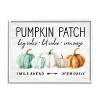 Stupell Industries Pumpkin Patch Farmhouse Sign Autumn Orange Green Gourds, 20 x 16, Design by Lettered and Lined