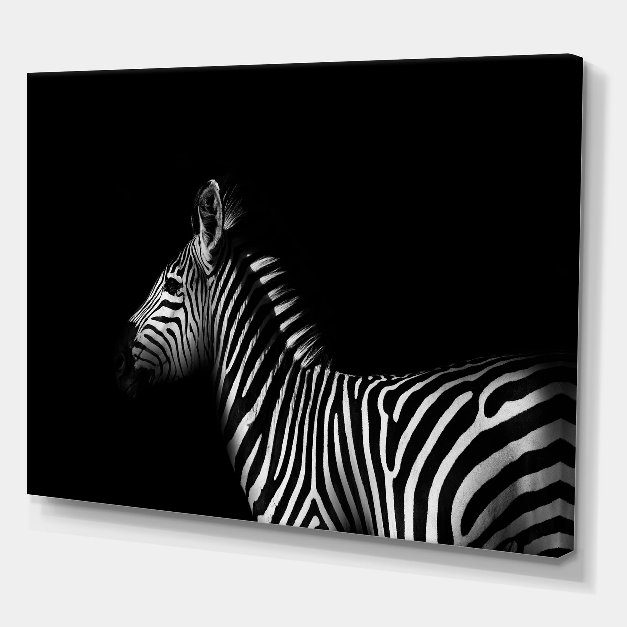 Designart ' Sideview Of Zebra In White and Black ' Farmhouse Canvas Wall Art Print