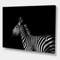 thumbnail image 3 of Designart ' Sideview Of Zebra In White and Black ' Farmhouse Canvas Wall Art Print, 3 of 4