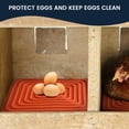 thumbnail image 4 of SDTC Tech 3 PCS Orange Silicone Chicken Nesting Box Pads Soft Easy to Clean Hen Laying Eggs Mat for Chicken Coop Pet Shop, 4 of 6
