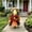 Orange 1, variant on AuroraX 23 inch Porch Goose Outfit Sets Porch Goose Clothes Set 23" 17 19 inch Holiday Porch Goose Accessories Porch Duck Clothing Lawn Garden Decor