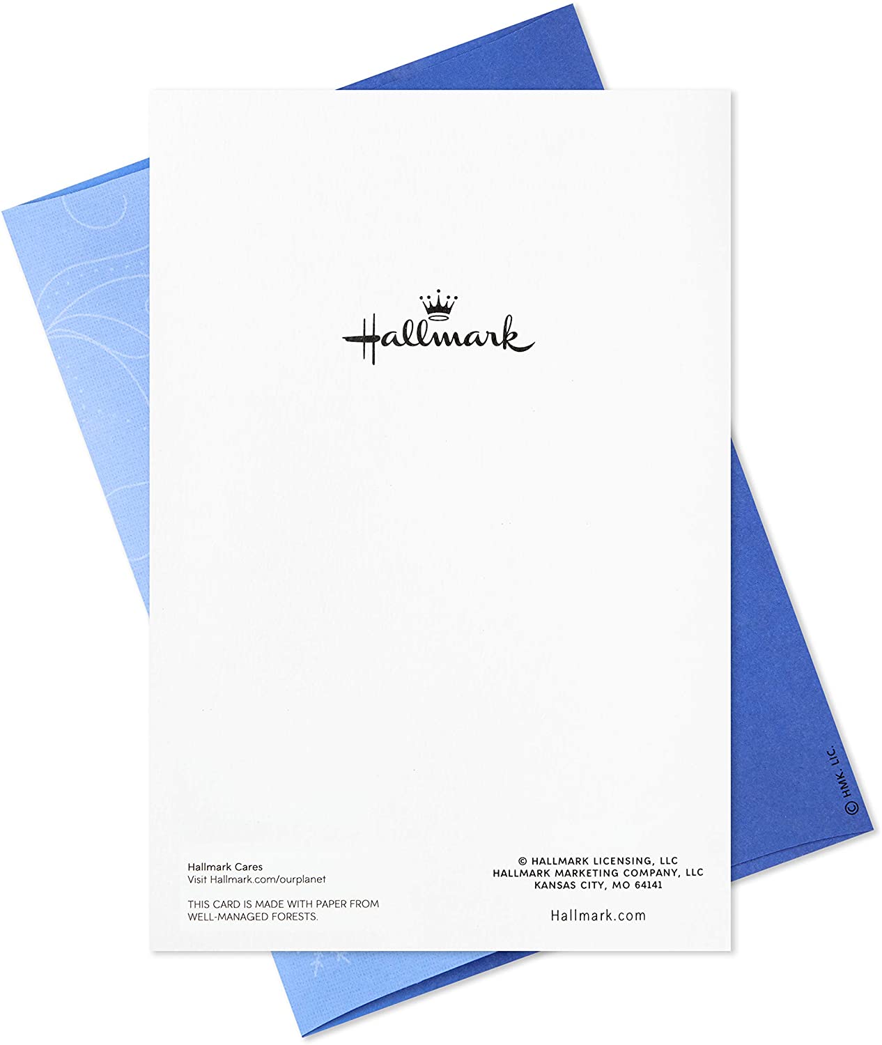Hallmark Boxed Christmas Greeting Cards, Magical Tree (16 Cards and 17 Envelopes)