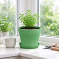 thumbnail image 5 of Fareti 5.5 Inch Plant Pots, Small Flower Pots for Indoor Plant Pot Succulent Pot with Drainage Planters for Indoor Plants, Green, 5 of 5