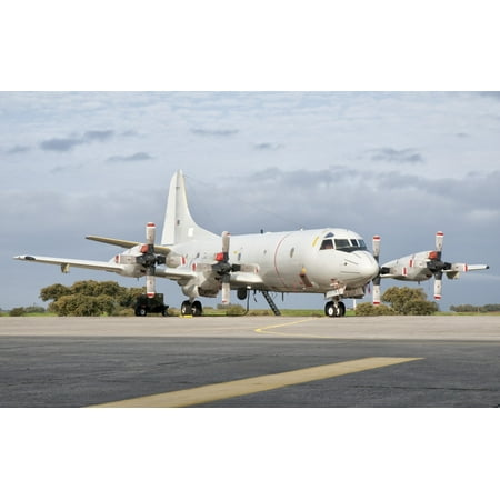 Portuguese Air - A Portuguese Air Force P-3C CUP Orion at Beja Air Base Portugal Poster Print