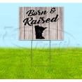 thumbnail image 1 of Born & Raised Minnesota (18" x 24") Yard Sign, Includes Metal Step Stake, 1 of 6