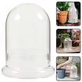 thumbnail image 3 of Glass Terrarium Glass Planter Vase Clear Plant Holder Moss Terrarium DIY Micro-landscape Vase, 3 of 4