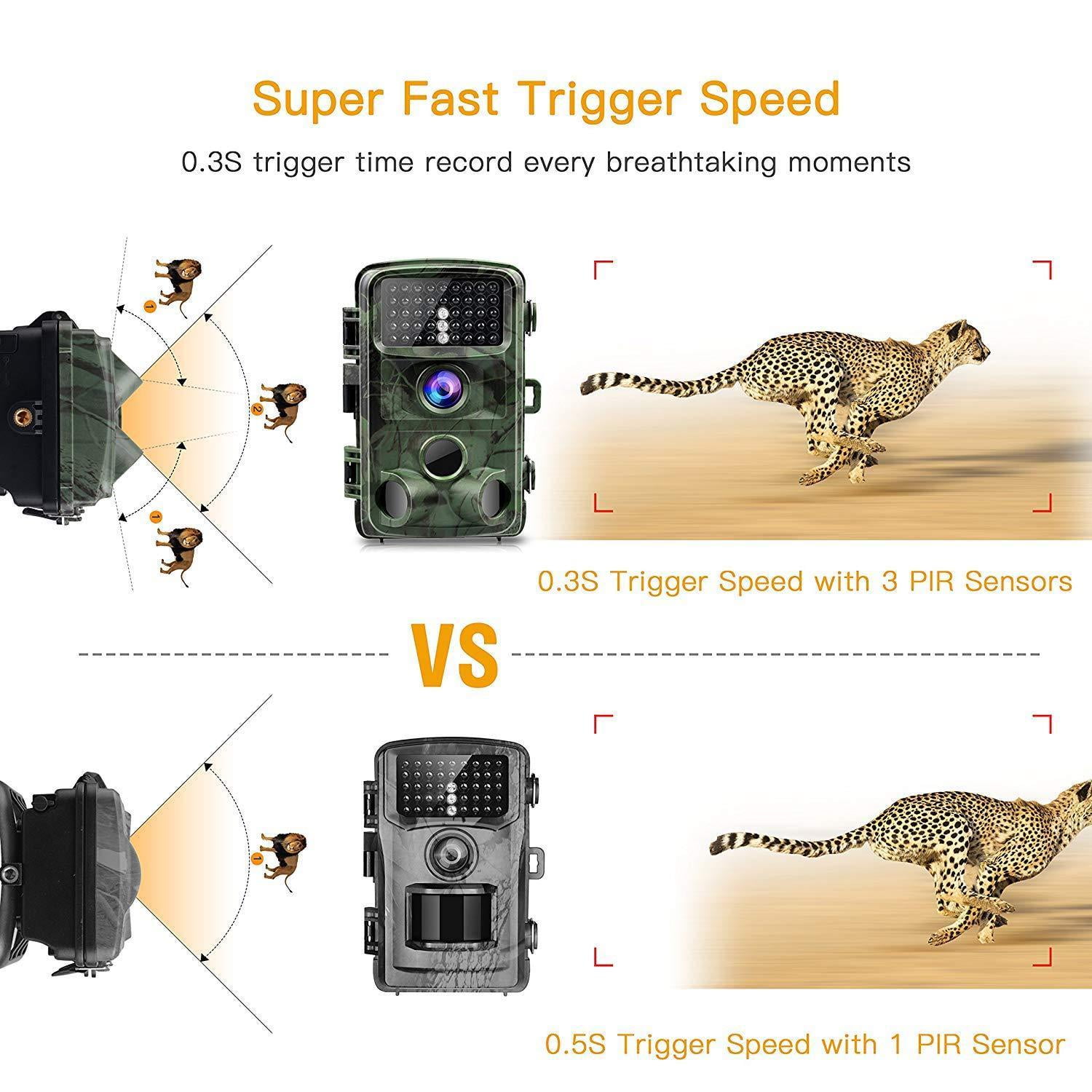 wildlife sensor camera