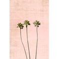 thumbnail image 2 of Carpentieri, Natalie 23x32 White Modern Wood Framed Museum Art Print Titled - Think Pink, 2 of 4