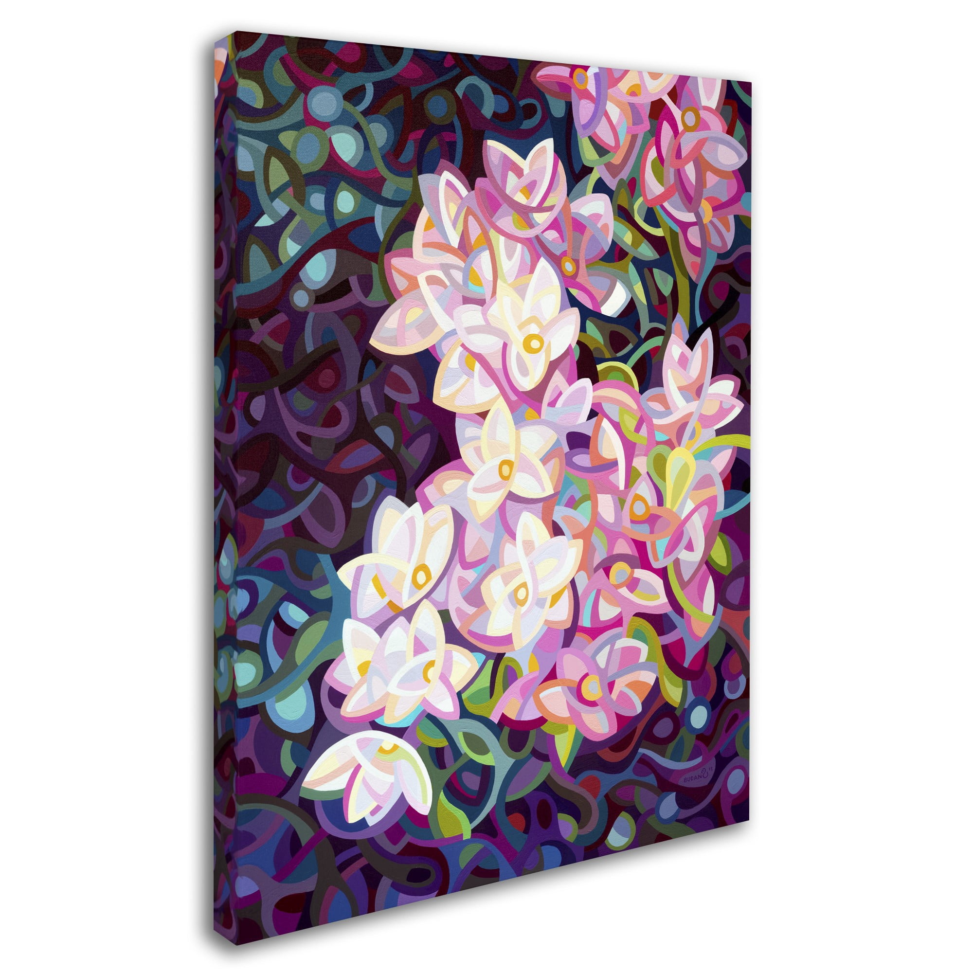 Trademark Fine Art "Cascade" Canvas Art by Mandy Budan