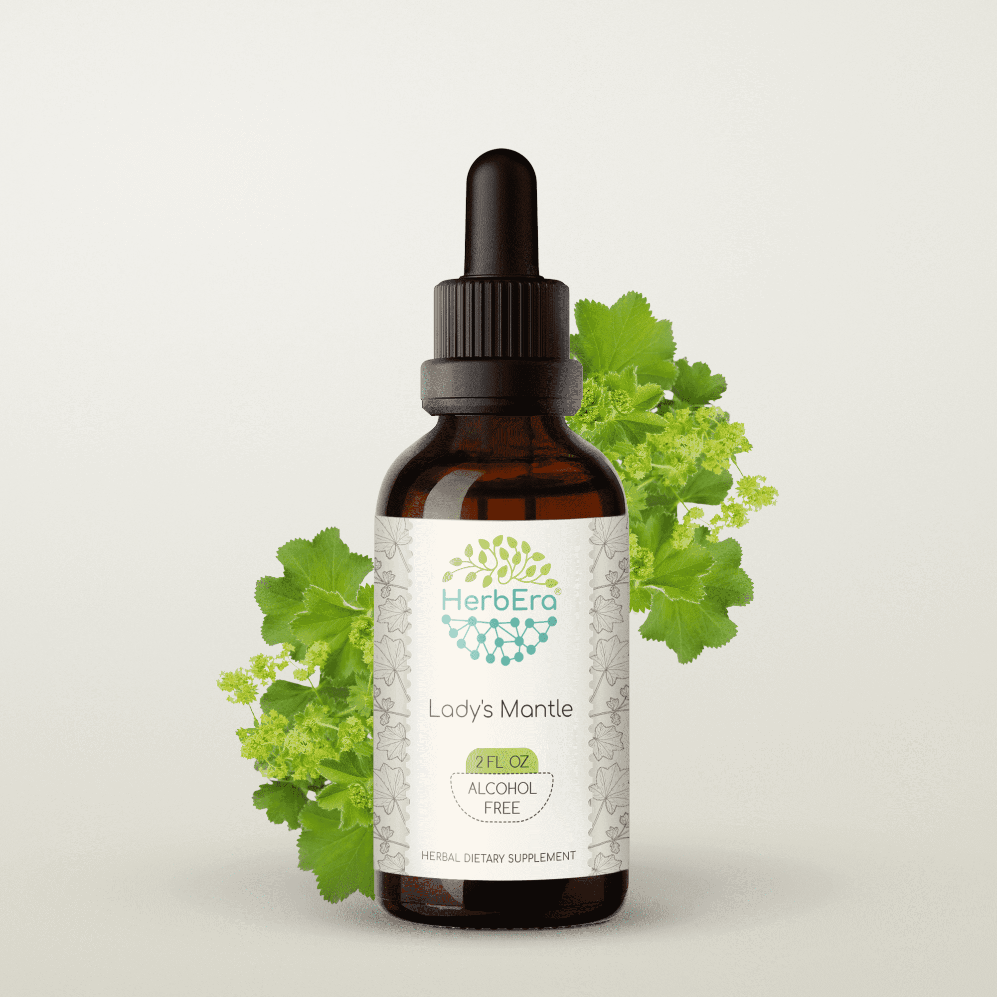HerbEra Lady's Mantle Tincture, Herbal Dietary Supplement for Hormonal Balance Support, Lady's Mantle (Alchemilla vulgaris) Dried Herb Extract, Natural, Alcohol-Free, Drops 2 oz
