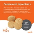thumbnail image 5 of Pet-Tabs Plus Multivitamin and Mineral Supplement for Dogs with Special Nutritional Needs, Chewable Tablet, 60 Count Bottle, 5 of 5
