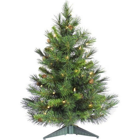Vickerman 24