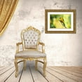 thumbnail image 3 of Zygmunt, Milan 18x13 Gold Ornate Wood Framed with Double Matting Museum Art Print Titled - Saffron Toucanet, 3 of 4