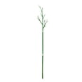 thumbnail image 2 of Visland Plant Support Stake Detachable Plastic Twig Plants Potted Stand Stick Orchid Clips Garden Supplies, 2 of 8