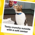 thumbnail image 6 of Temptations Indoor Care Chicken Flavor Crunchy And Soft Treats For Cats, 4.9 Oz Pouch, 6 of 12