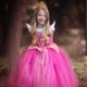 thumbnail image 4 of Vestido de princesa Vestido de Frozen Vestido de niña Vestido de malla de manga larga Vestido de rendimiento peludo, 4 of 4