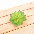 thumbnail image 4 of 10x Fake Succulents Small Vivid Useful Simulated Plants Multi-functional Lifelike Photo Props for Household Yards Lawn Flowerpot Type 22, 4 of 9