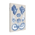 thumbnail image 2 of Vision Studio 'Navy And Linen Shells IV' Canvas Art, 2 of 3