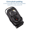 thumbnail image 4 of Maxi-Cosi Ambra Infant Car Seat, 4 of 9