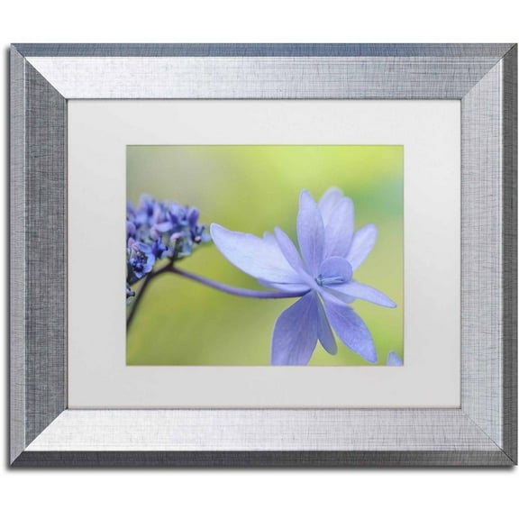 Trademark Fine Art 'Blue Hydrangea' Canvas Art by Cora Niele, White Matte, Silver Frame
