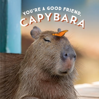 Pre-Owned You're a Good Friend, Capybara (Hardcover) 1797210572 9781797210575