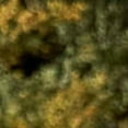 thumbnail image 4 of Mountain Warehouse Womens Iona Soft Shell Jacket, 4 of 4