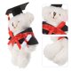 thumbnail image 3 of Oso de peluche de graduación, mini oso de graduación, peluche de graduación, oso de graduación, oso de peluche, letrero de oso de graduación, 3 of 7