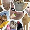 thumbnail image 4 of CCOCC 50 Pcs Cat Stickers,Eco-Friendly Sticker Cute Stickers,Vibrant Art Long-Term Use Travel Stickers,Style10, 4 of 4