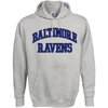 NFL - Men's Baltimore Ravens Pullover Hoodie