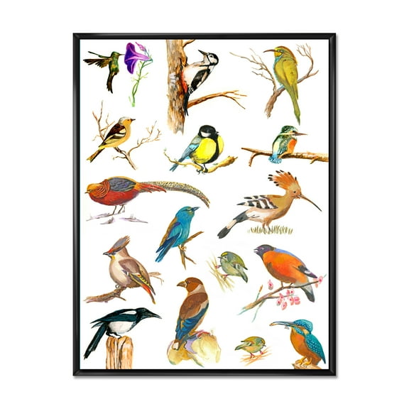 Designart 'Vital Colored Birds Plancard' Traditional Framed Canvas Wall Art Print