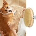 thumbnail image 2 of Short Hair Dog Brush Grooming Tool with Soft for and Coat Care, 2 of 7
