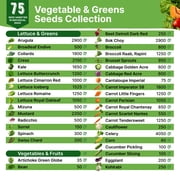 75 Vegetable & Greens Seeds Kit - 44,700+ Non-GMO Heirloom Seeds Gardening Gift Box for Planting