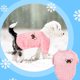 thumbnail image 4 of m 3 piezas de ropa de invierno para perros, ropa para mascotas, gatos, perros pequeños, ropa para mascotas, suéter de dos piernas, 4 of 5
