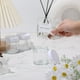 thumbnail image 4 of Frascos de vidrio Norme de 4 oz/120 ml con tapas a prueba de fugas, 24 unidades, blancos, 4 of 6