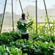 thumbnail image 2 of Jardin Filet Anti Insecte Potager: 2 x 5 m Maille Fine Protection pour Poireaux Arbre Fruitier Jardinage Voile de Plantes Blanche, 2 of 5