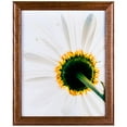 thumbnail image 2 of Craig Frames Wiltshire 236, Simple Brown Hardwood Picture Frame, 4 x 6 Inch, 2 of 4