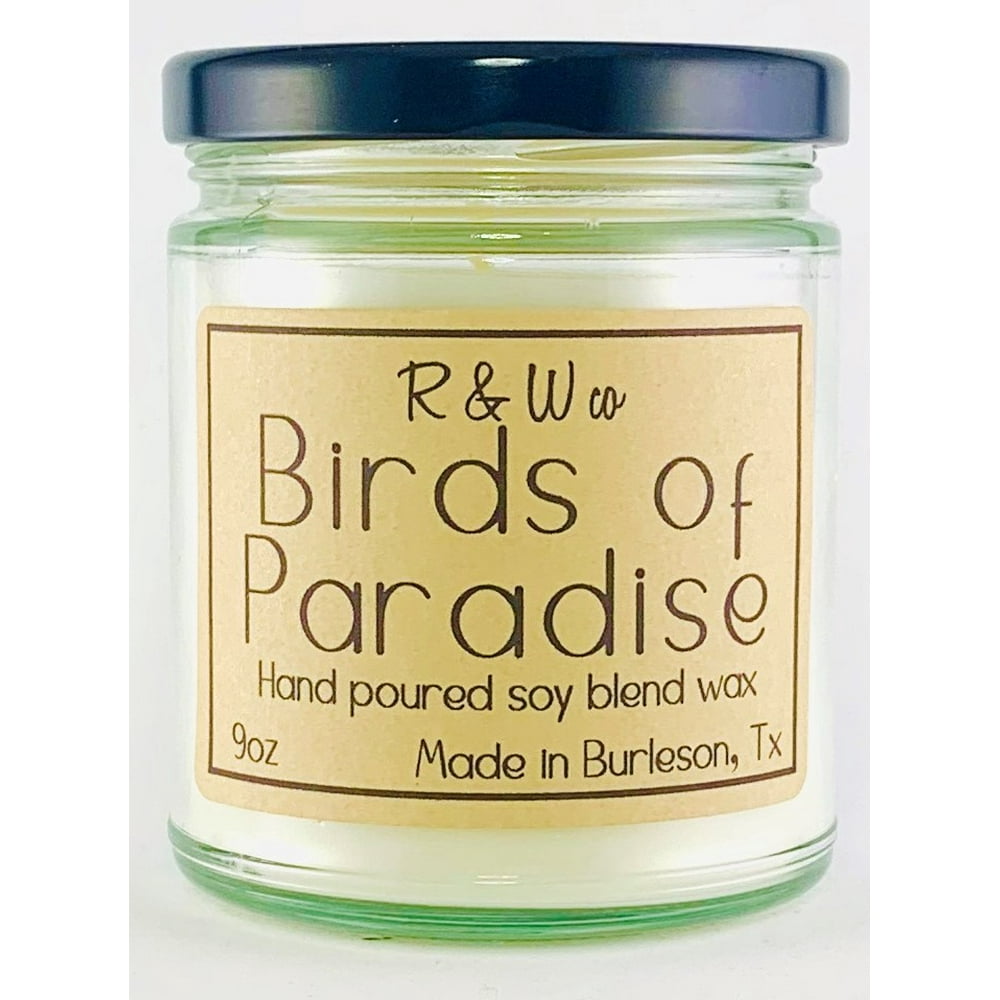 9oz Birds of Paradise Candle Highly Scented Soy Candle by R&W Co