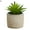 Style#4, variant on Visland 10 cm Artificial Mini Succulent in Cement Pot