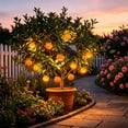 thumbnail image 4 of LHNFT Solar Powered Simulated Orange String Lights Outdoor Courtyard Waterproof Decorative Ambient Lights Festival Decorations And Scenery Lights, 4 of 7