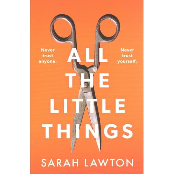 Pre-Owned All The Little Things: A tense and gripping thriller with an unforgettable ending Paperback