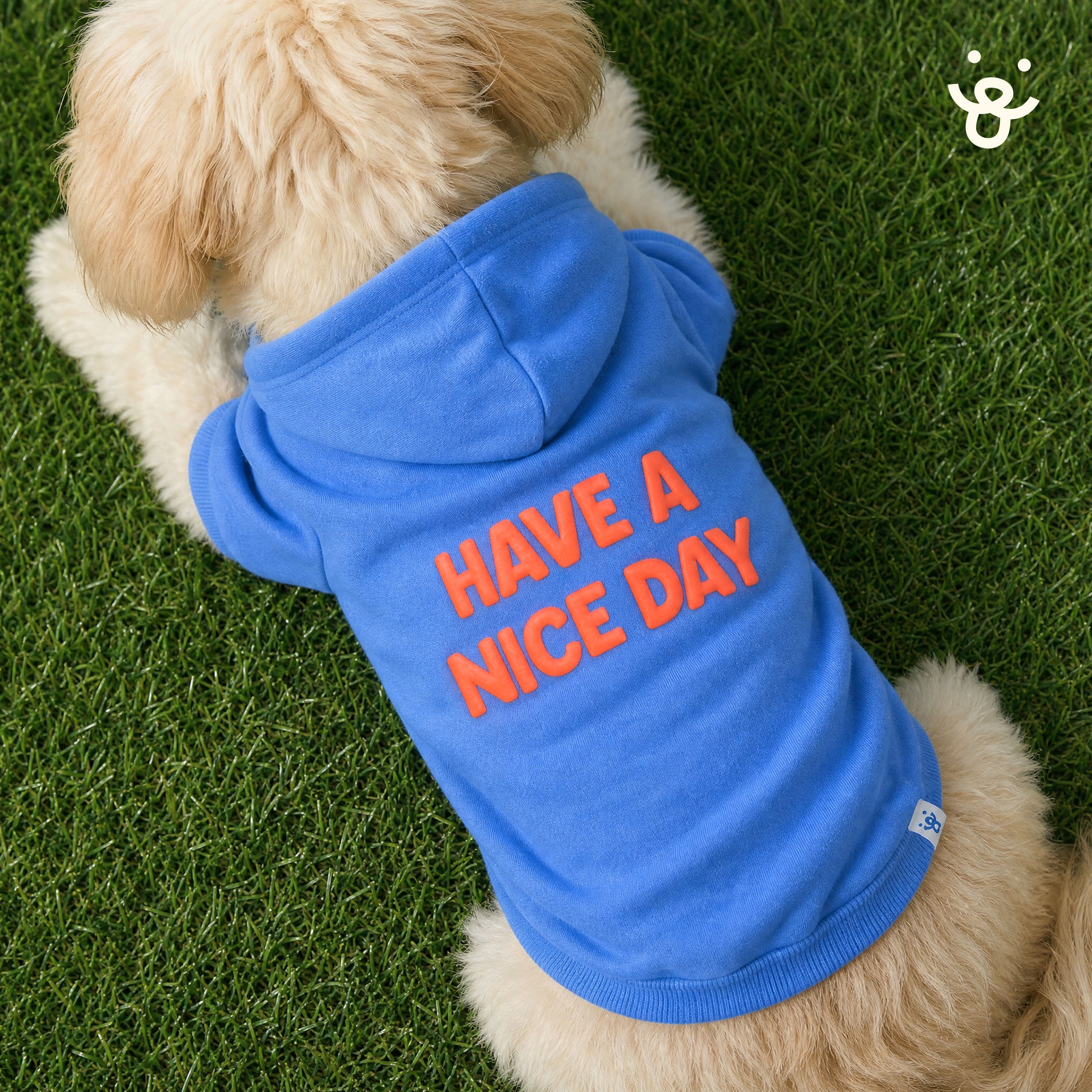 Oodles Have A Nice Day Fall Dog Hoodie, Blue, Small