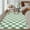 Green, variant on Ataucjin Fuzzy Living Room Rug.Ultra-Soft High Pile Accent Rug. Anti-Skid Plush Shaggy Floor Carpet. Modern Checkerboard Carpet for Dining Room. Playroom. Office