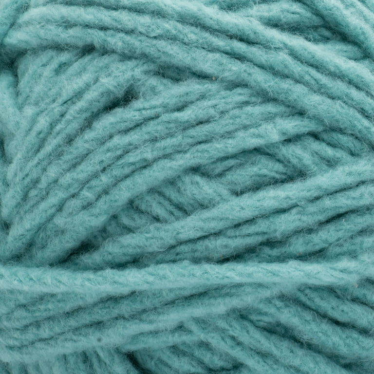 Bernat Forever Fleece #6 Super Bulky Polyester Yarn, Croton Green 9.9oz/280g, 194 Yards (2 Pack)