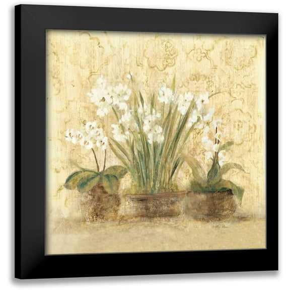 Blum, Cheri 12x12 Black Modern Framed Museum Art Print Titled - k 8232 Esprit NarcOrch