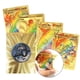 thumbnail image 1 of Cartas de Pokémon de lámina dorada, arcoíris brillante, Vmax, Charizard, Pikachu, Colección, entrenador de batalla, tarjeta, juguete para niños, regalo Fivean unisex, 1 of 2