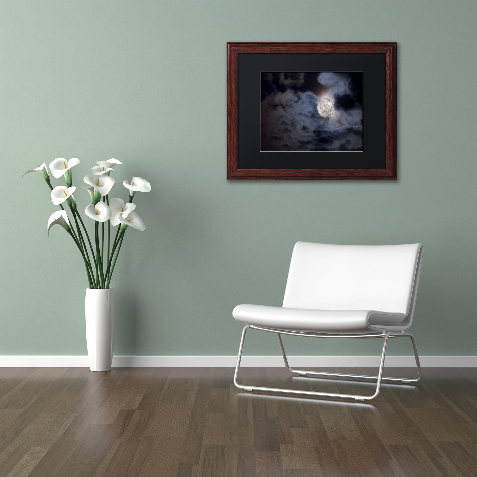 Trademark Fine Art "Supermoon " Canvas Art by Jason Shaffer, Black Matte, Wood Frame