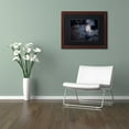 thumbnail image 4 of Trademark Fine Art "Supermoon " Canvas Art by Jason Shaffer, Black Matte, Wood Frame, 4 of 4