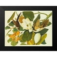 thumbnail image 2 of Audubon, John James 18x15 Black Modern Framed Museum Art Print Titled - Black-Billed Cuckoo, 2 of 5