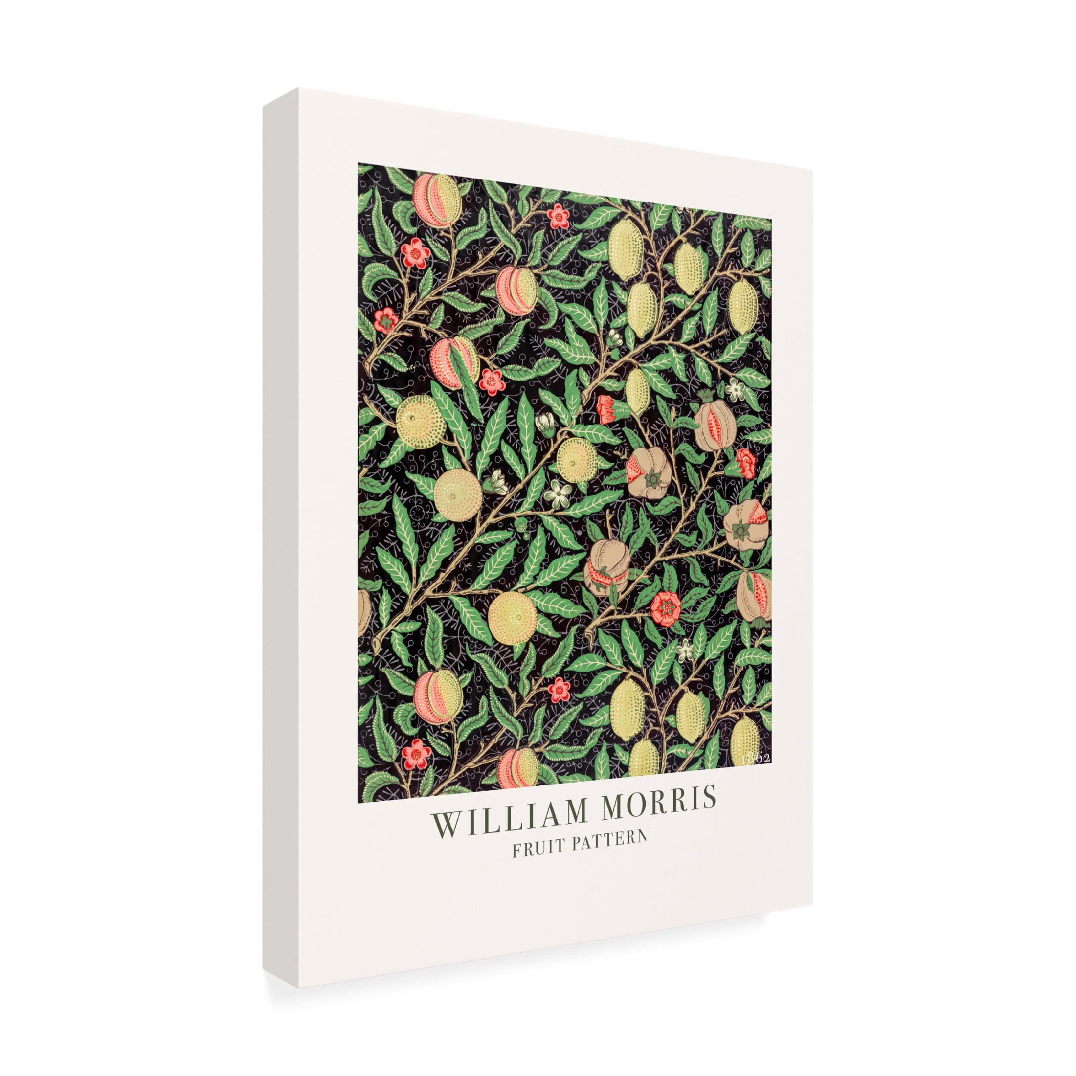 Trademark Fine Art Pictufy  Fruit Pattern Canvas Wall Art