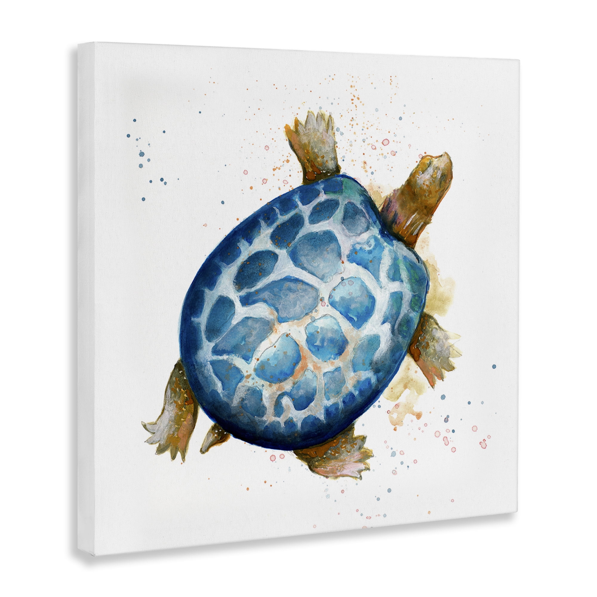 Stupell Industries Modern Speckled Turtle Animals & Insects Painting Gallery Wrapped Canvas Art Print Wall Art, 17 x 17
